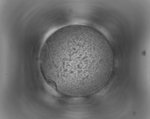 X0000092031471200709201602