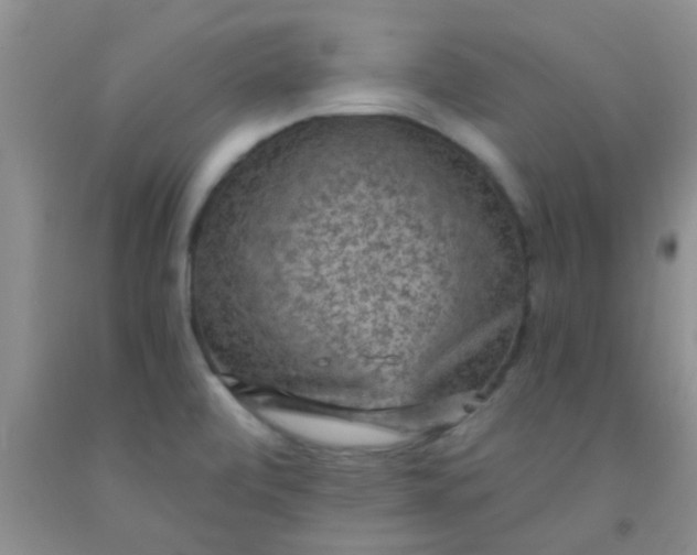 X0000092031472200709201602