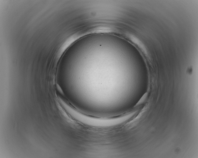 X0000092031473200709201602