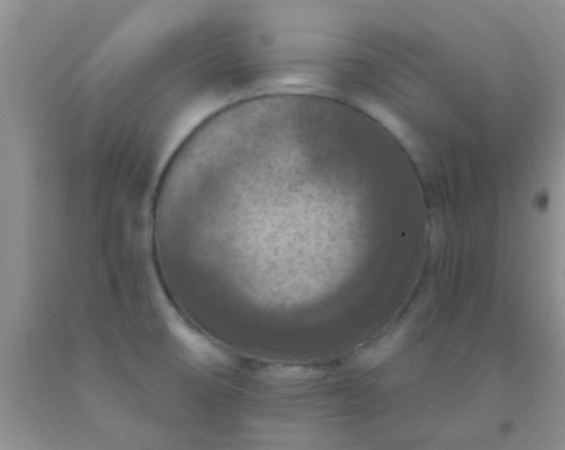 X0000092031474200709201602