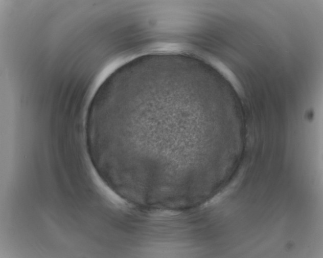 X0000092031475200709201602