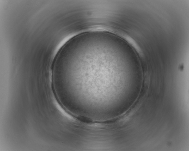 X0000092031476200709201602