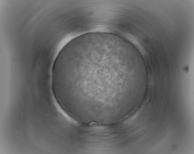 X0000092031479200709201602