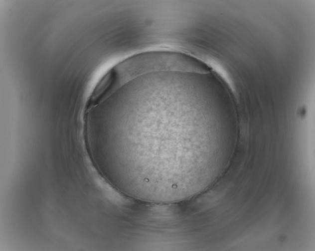 X0000092031480200709201602