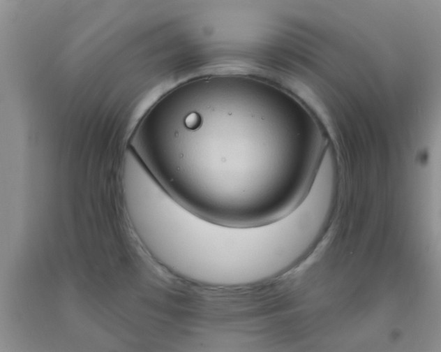 X0000092031481200709201602