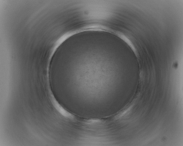 X0000092031482200709201602