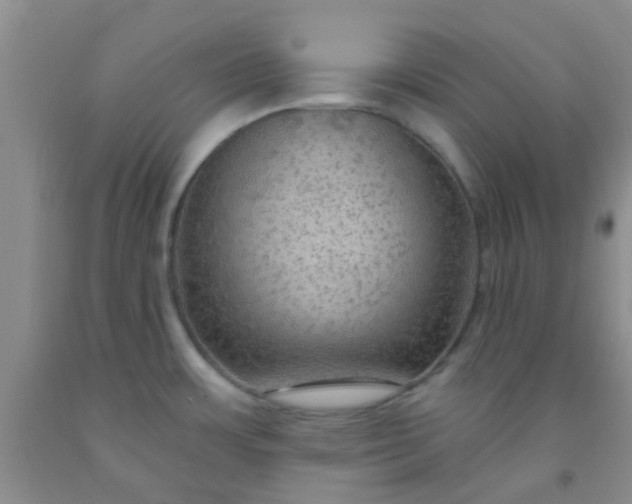 X0000092031483200709201602