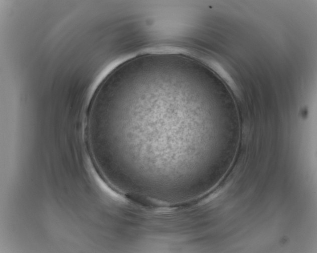 X0000092031484200709201602