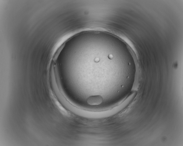 X0000092031485200709201602