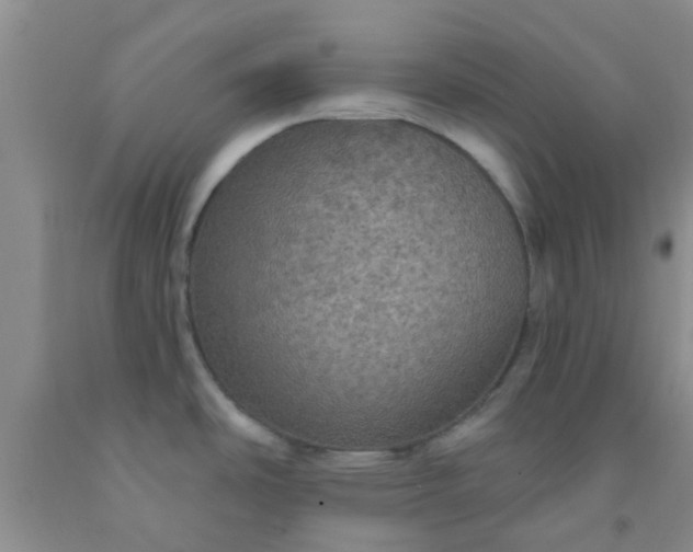 X0000092031486200709201602