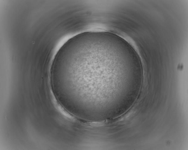 X0000092031488200709201602