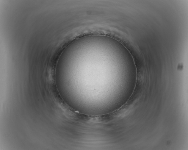 X0000092031490200709201601