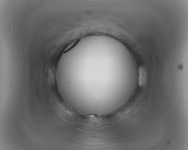 X0000092031491200709201601