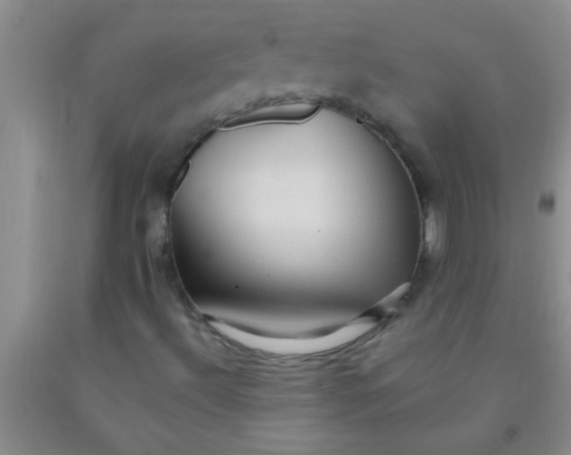 X0000092031492200709201601