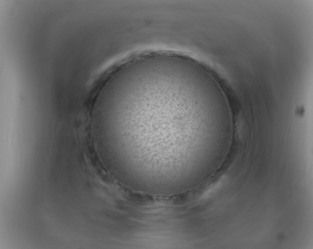 X0000092031494200709201601