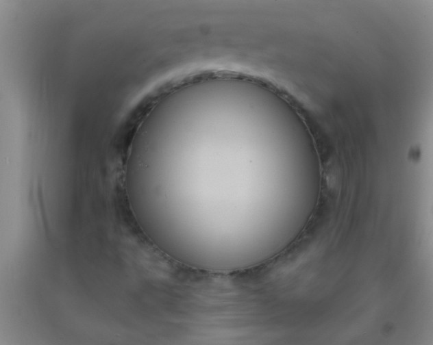 X0000092031495200709201601