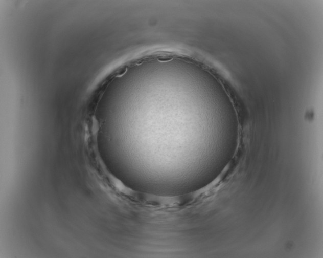 X0000092031496200709201601