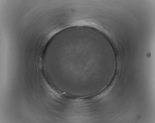 X0000092031497200709201601