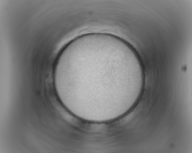 X0000092031498200709201601