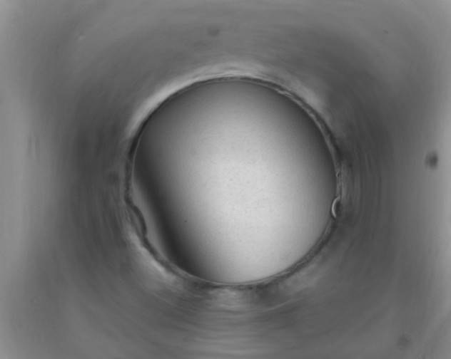 X0000092031500200709201601