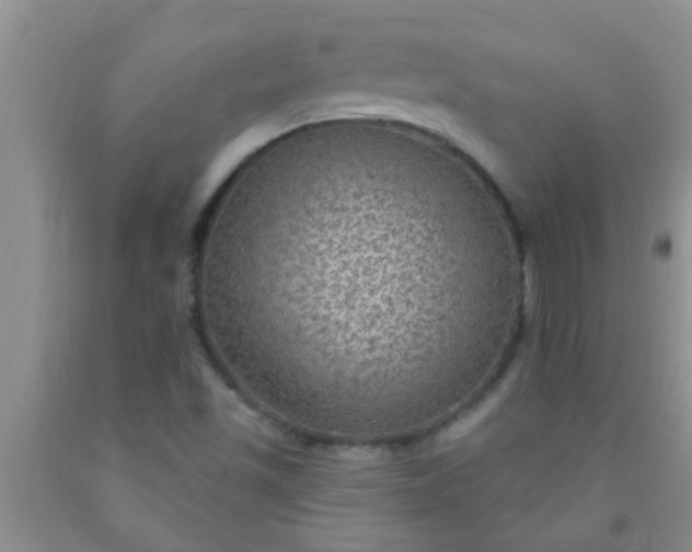 X0000092031501200709201601