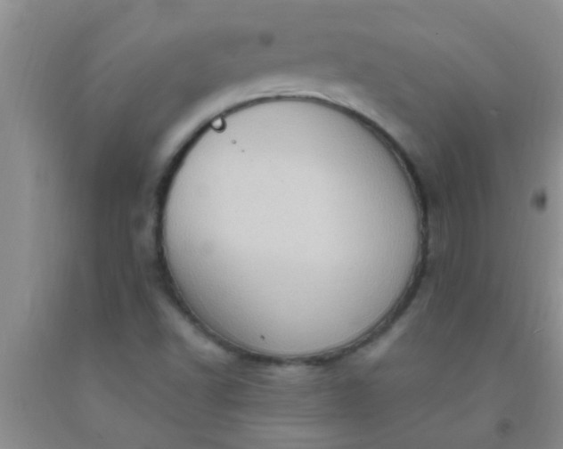 X0000092031502200709201601