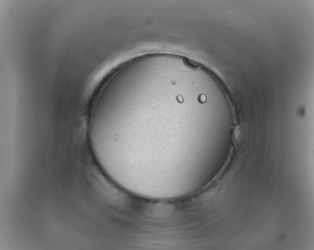 X0000092031503200709201601