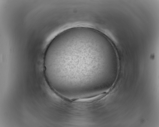 X0000092031504200709201601