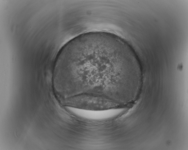 X0000092031505200709201601