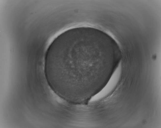 X0000092031508200709201601