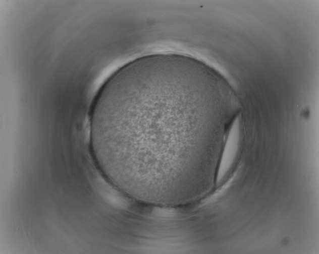 X0000092031509200709201601