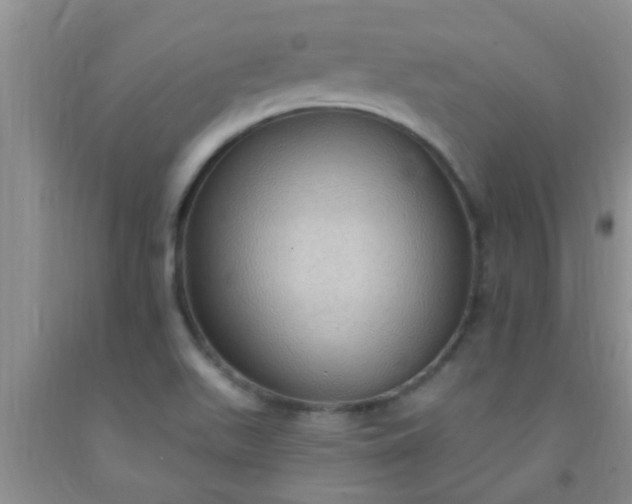 X0000092031511200709201601