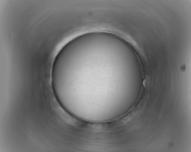 X0000092031512200709201601