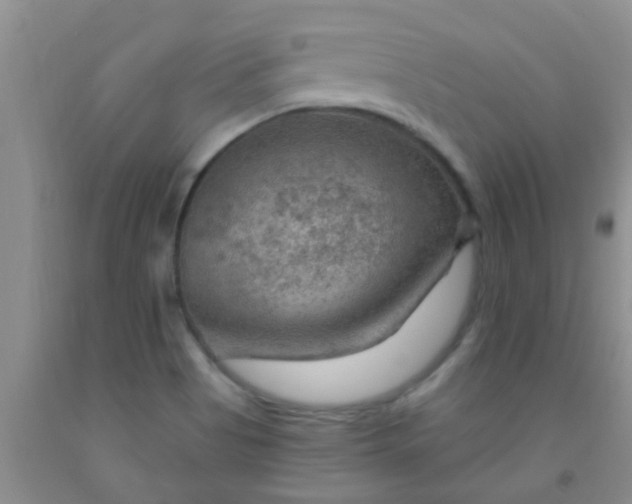 X0000092031513200709201601