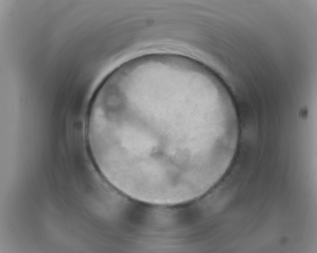 X0000092031514200709201601