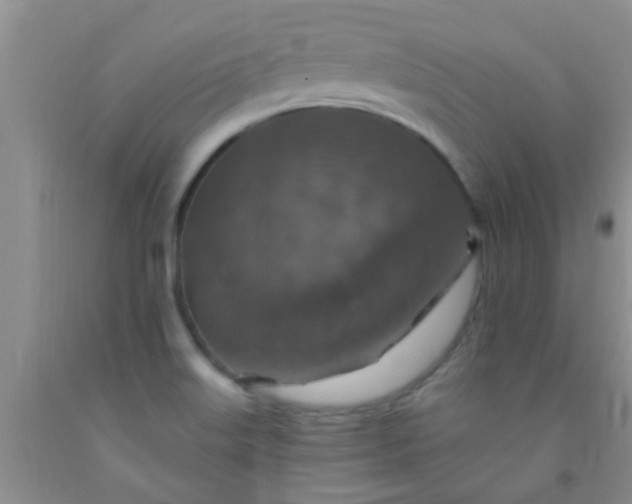 X0000092031515200709201601