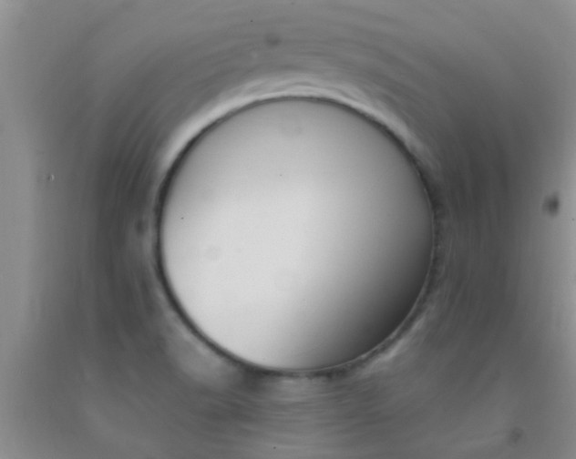 X0000092031518200709201601