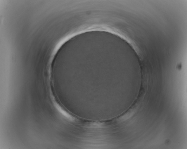 X0000092031519200709201601