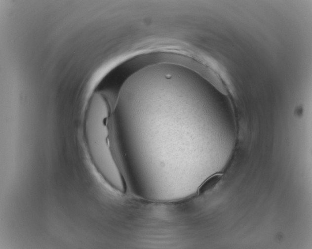 X0000092031520200709201601