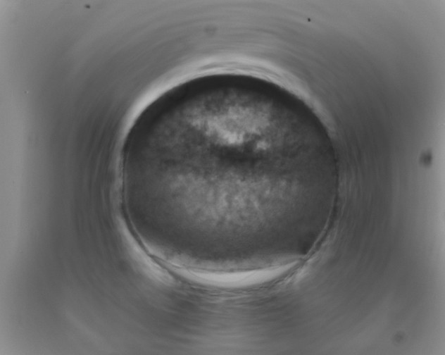 X0000092031522200709201601