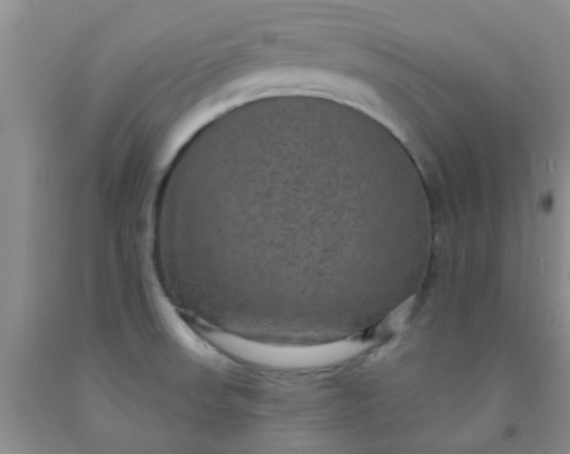 X0000092031523200709201601