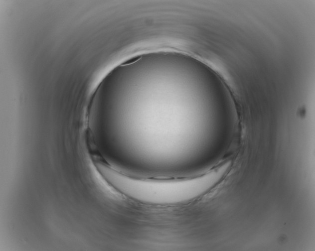 X0000092031524200709201601