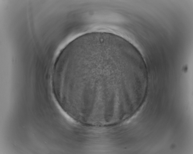 X0000092031525200709201601