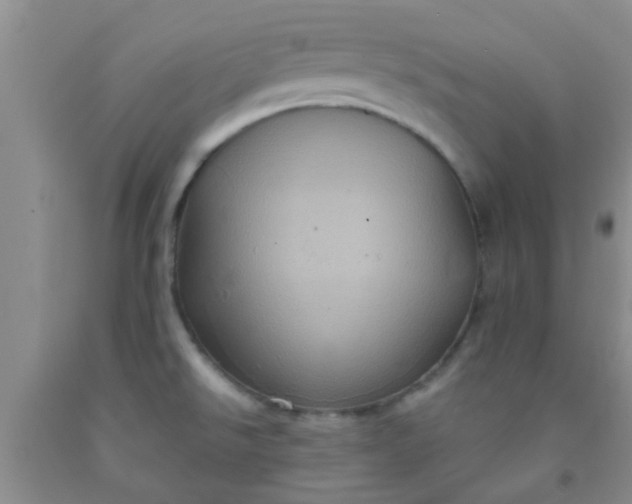 X0000092031526200709201601