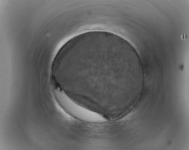 X0000092031527200709201601