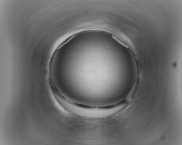 X0000092031528200709201601