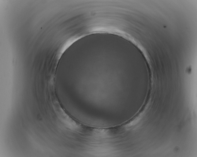 X0000092031529200709201601