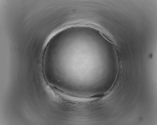 X0000092031530200709201601