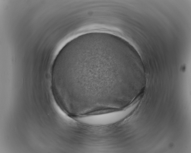 X0000092031531200709201601