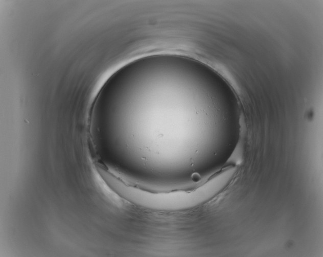 X0000092031532200709201602